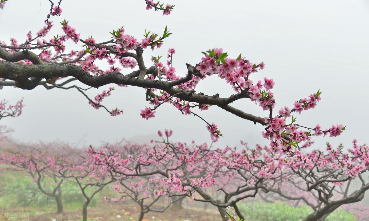 西华师范大学研究生院（2022西华师范大学硕士研究生招生复试分数线）